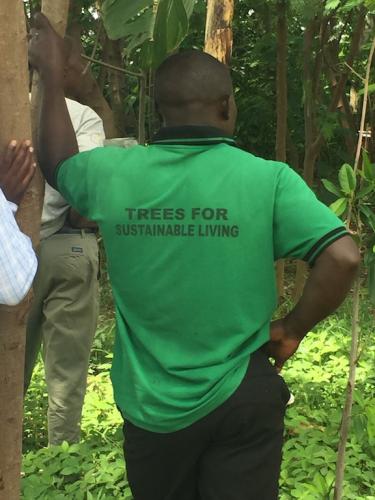 Trees for sustainable living